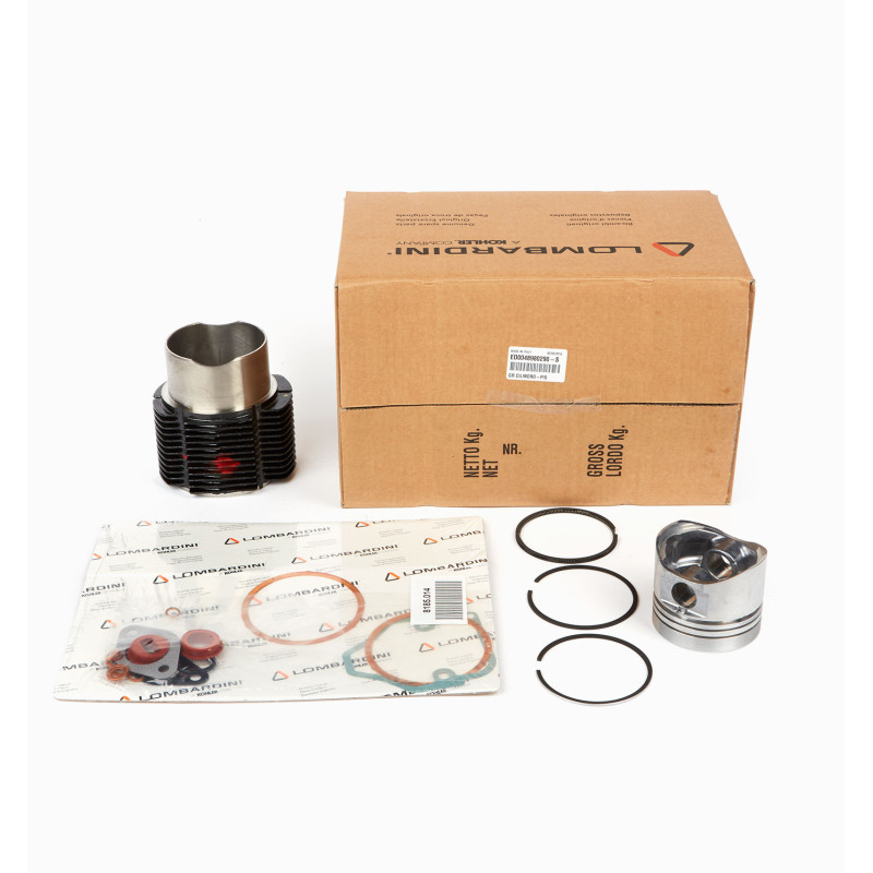 KIT CILINDRO + PISTON LOMBARDINI 6LD435 b1