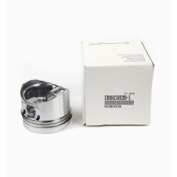 PISTON RUGGERINI MD LOMBARDINI 25LD