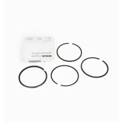 RUGGERINI RD220 RF120 SERIES SEGMENTS