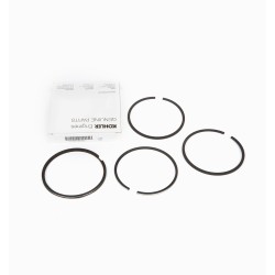 RUGGERINI SERIE SEGMENTOS RD220 RF120