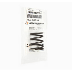 SPRING RUGGERINI RD RF MD VALVE