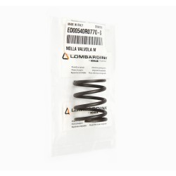 SPRING RUGGERINI RD RF MD VALVE