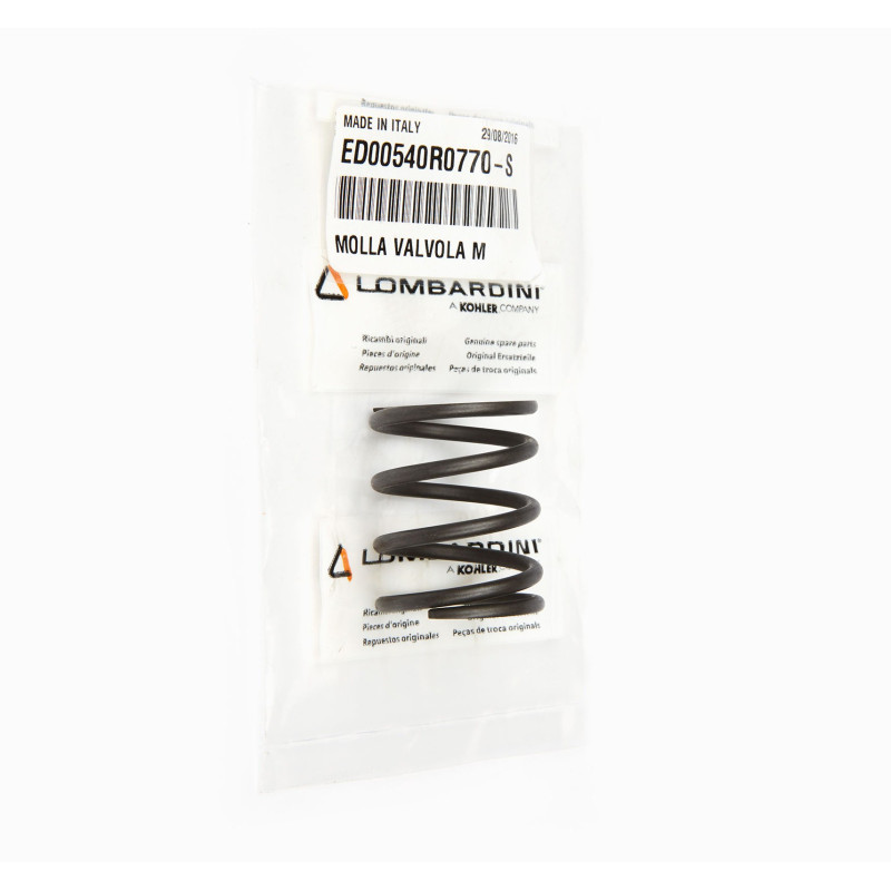 SPRING RUGGERINI RD RF MD VALVE