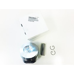 Fan Lombardini LDW