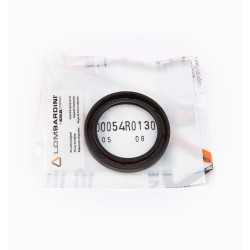 RETEN ACEITE RUGGERINI CRD100