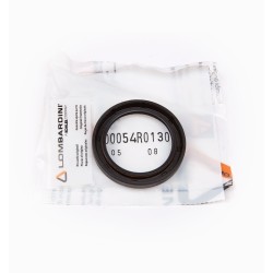 Dispositif de retenue d'huile Ruggerini CRD100 RP 