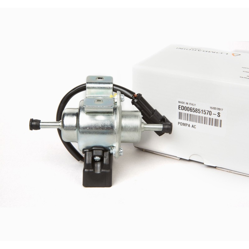 ELECTRIC FEED PUMP LOMBARDINI