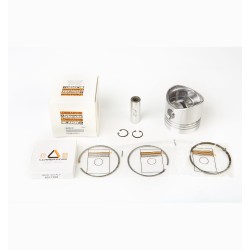 PISTON COMPLETO 1.00