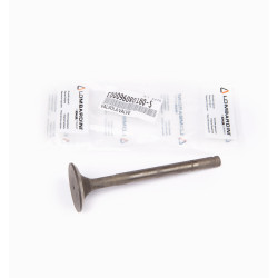 VALVULA ESCAPE RUGGERINI RP170-178