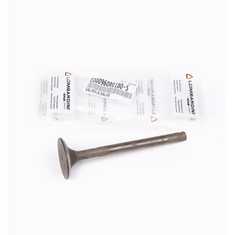 EXHAUST RUGGERINI RP170-178 VALVE