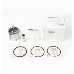 PISTON COMPLET STD 6LD 360