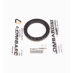 OIL RETENTION LOMBARDINI 9LD561