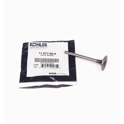 INTAKE VALVE KOHLER CH395