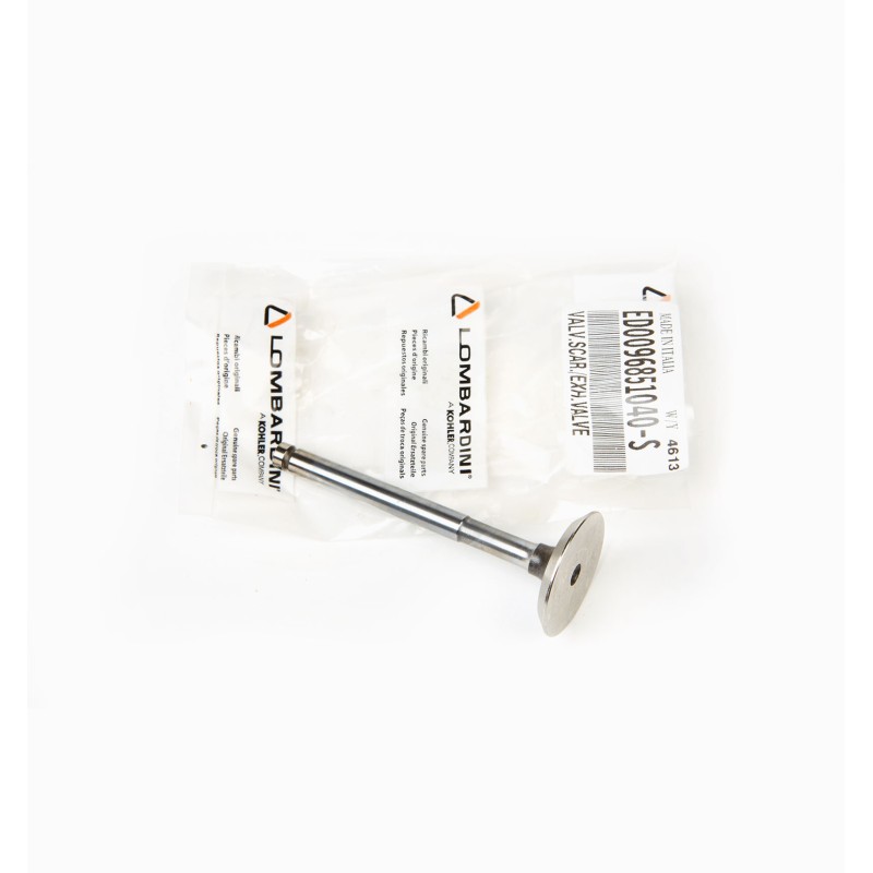 EXHAUST VALVE