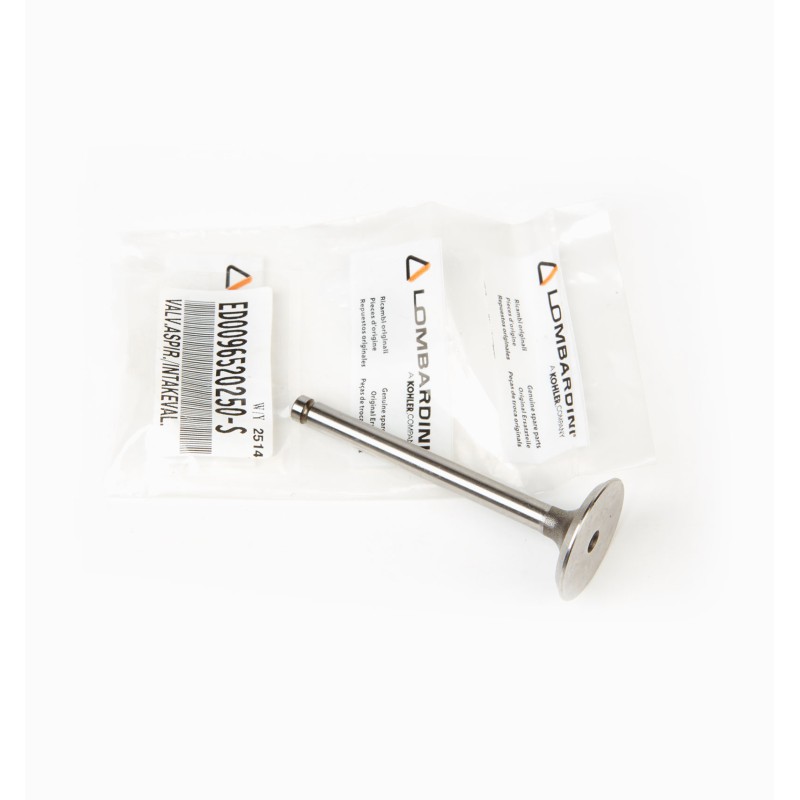 INTAKE VALVE