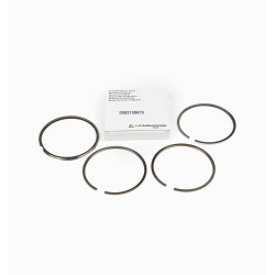 SEGMENTS SERIES LOMBARDINI 5LD825