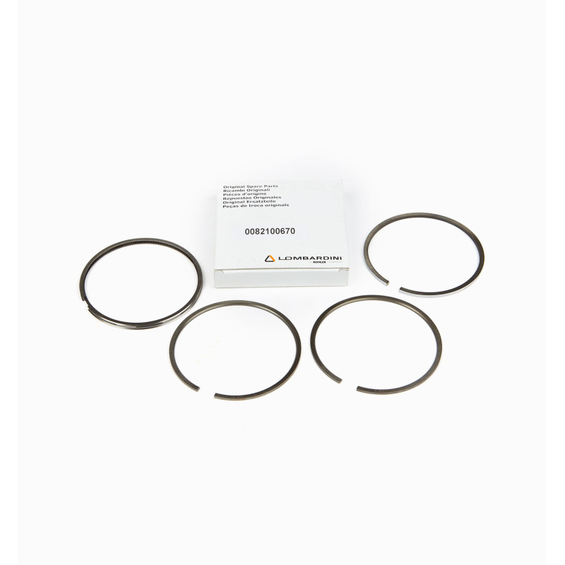 SEGMENTS SERIES LOMBARDINI 5LD825