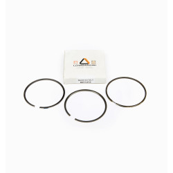 SERIES SEGMENTS 0.50 LOMBARDINI 8LD