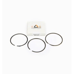 SERIES SEGMENTS 0.50 LOMBARDINI 8LD