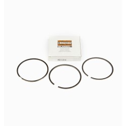 SERIE SEGMENTOSSTD LOMBARDINI 8LD