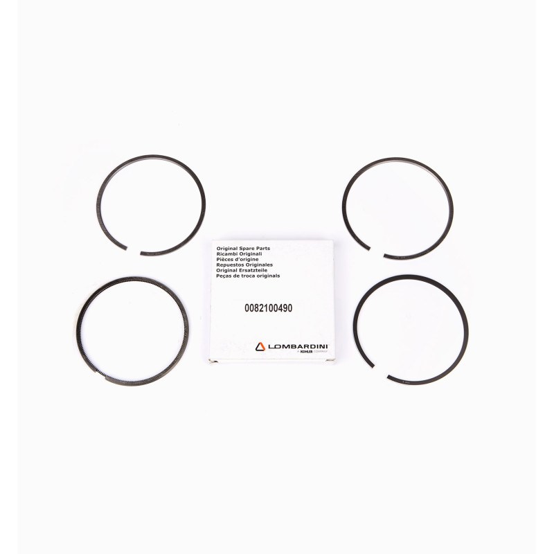 SERIES LOMBARDINI SEGMENTS 4LD705 / LDA100