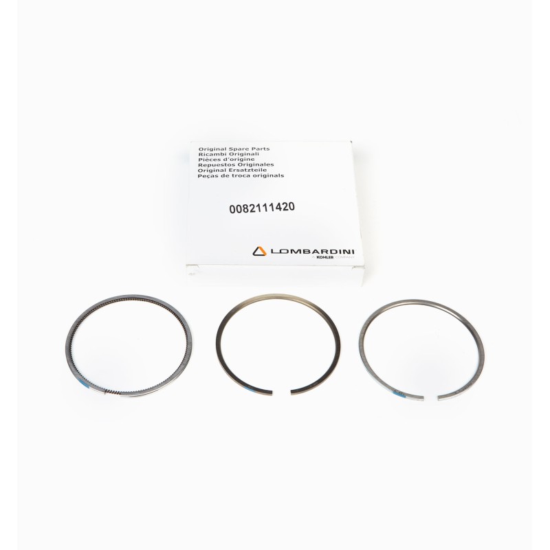 Segment Series 0.5 Lombardini LDW