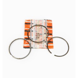  STD Rings engine Lombardini 6LD