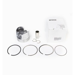 PISTON COMPLETO STD. LOMBARDINI 15LD