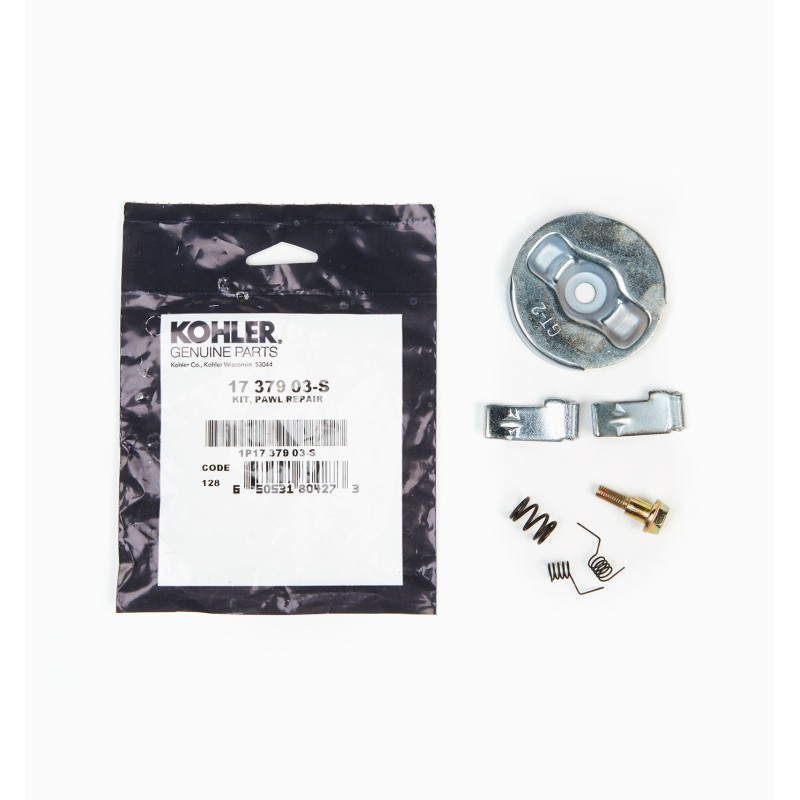 KIT DE RÉPARATION PAWL KOHLER CH395 / CH440
