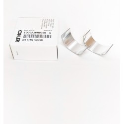 Connecting Rod Bearing Ruggerini RD210