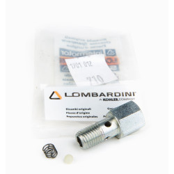 Accessoires de Remplacement Vis Lombardini 3LD, 6LD, 7LD