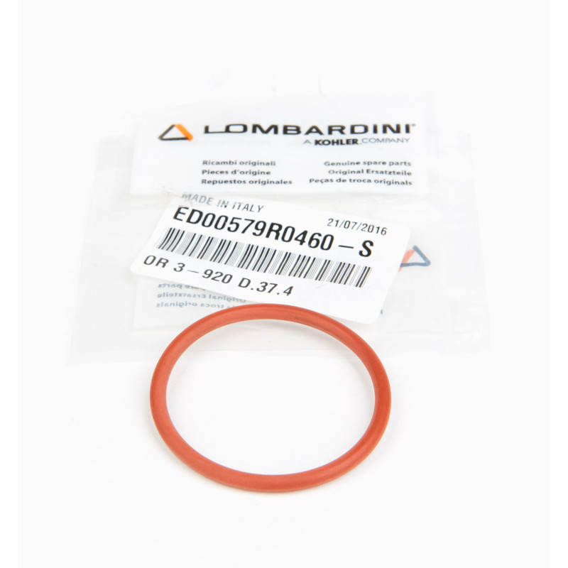 Pieza de cambio Anillo Ruggerini MD350