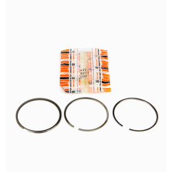 Série de segments 1.0 Lombardini