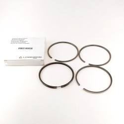 Serie Segmento +0.5 Lombardini 4LD