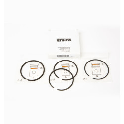 SERIE SEGMENTOS STD.