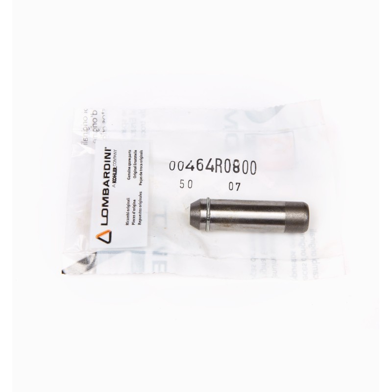 VALVULA GUIADA ESCAPE RUGGERINI CRD100 RP170