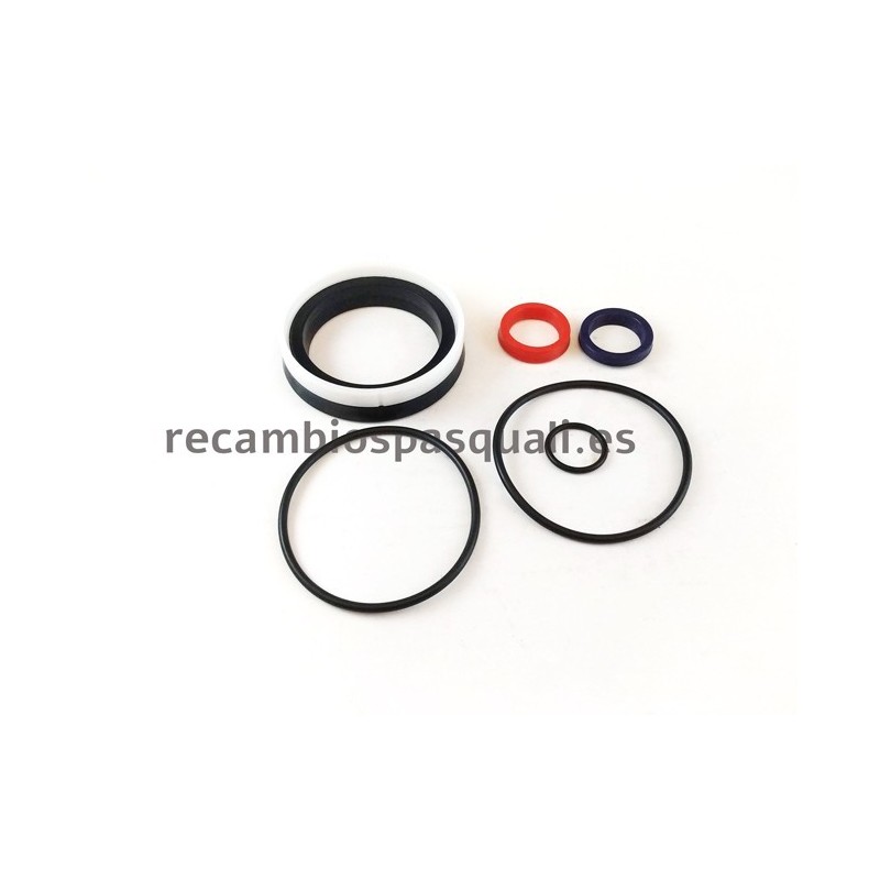 Kit Reparacion Pasquali Botella Hidráulica