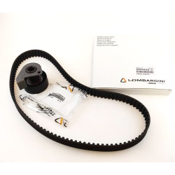 Kit Correa + Polea Tensora Lombardini LDW 502