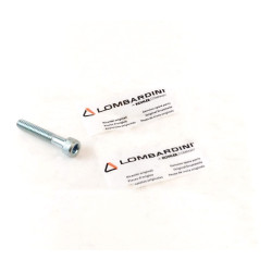 Vis Lombardini LDW502 FOCS