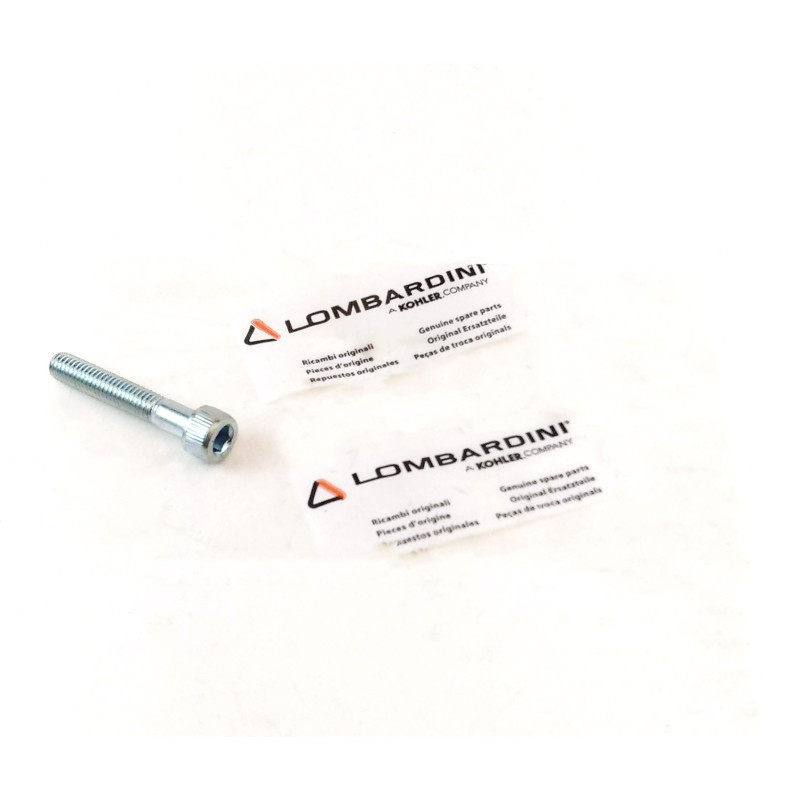 Screw Lombardini LDW502 FOCS