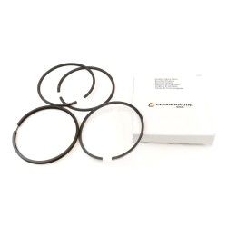 Serie Segmentos motor Ruggerini RD278