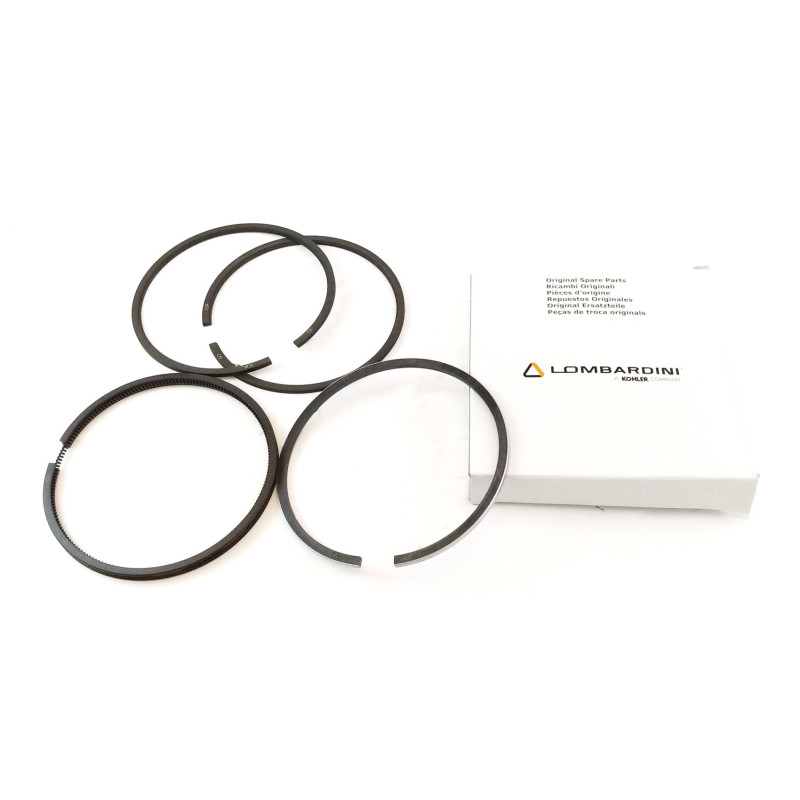 Serie Segmentos motor Ruggerini RD278