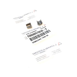 Half Cones Valve Ruggerini RF80