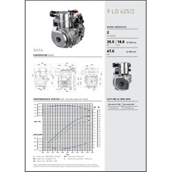 MOTOR LOMBARDINI 9LD 625/2 VERSION PASQUALI