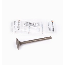 ECHAPPEMENT RUGGERINI VANNE RP170-178