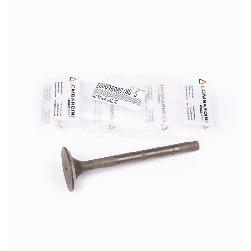ECHAPPEMENT RUGGERINI VANNE RP170-178