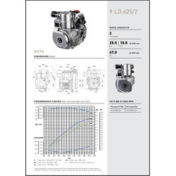 MOTEUR LOMBARDINI 9LD 625/2 VERSION PASQUALI
