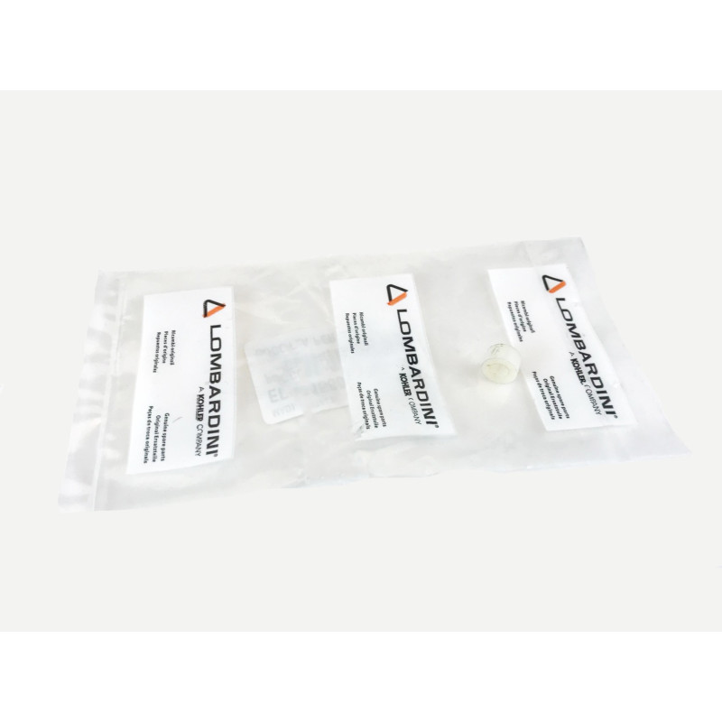 Pompe à rouleaux Lombardini 3LD