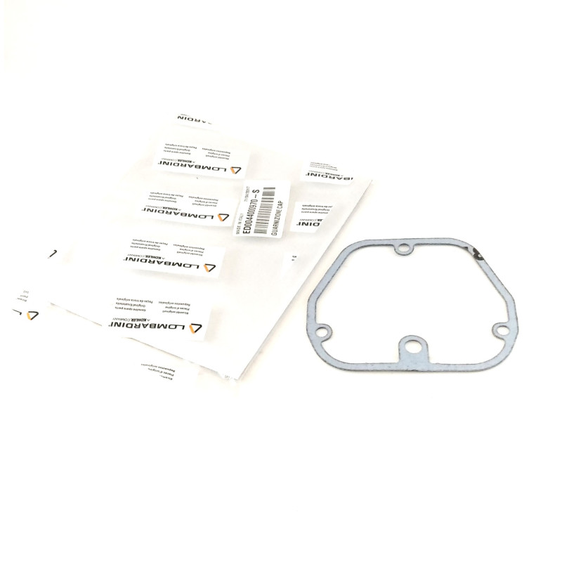 Gasket Lombardinirocker cover