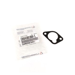 Gasket LombardiniPump